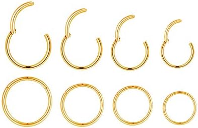 4Pairs 18G Surgical Steel Hinged Clicker Segment Nose Rings Hoop Helix