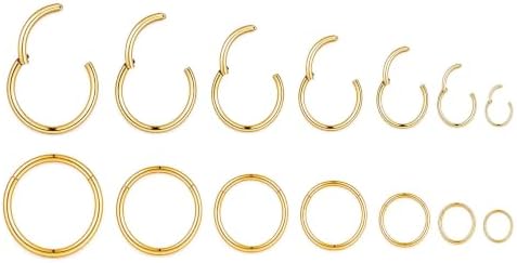 Hinged Clicker Segment Nose Rings